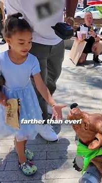 Together we are UNSTOPPABLE! 💪 In 2025, together we helped secure huge wins for animals✨