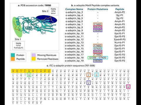 New AI Tools Greatly Accelerate Scientific Discovery
