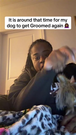 It's That Time Again: My Dog Tino's Grooming Appointment 🤦🏾‍♀️