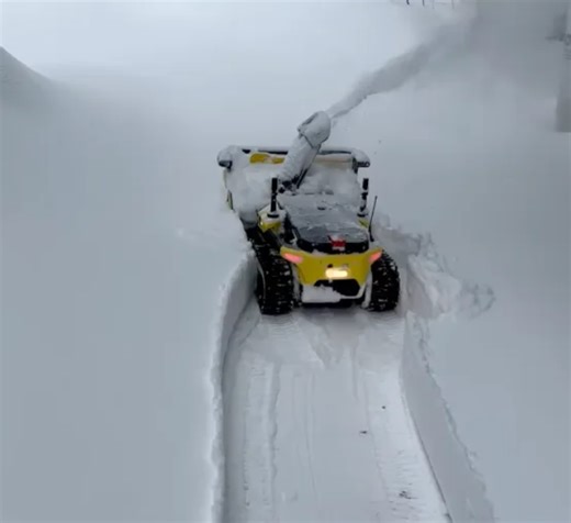 How to Choose a Battery Snow Blower? Key Parameter Guide