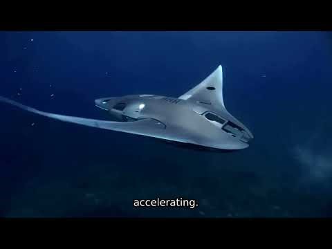 The Robot That Learns Like a Worm — And It's Conquering the Deep Sea | KPsphere