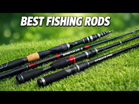 Top 5 Best Fishing Rods 2026 – Best Fishing Rods for Beginners & Pros!