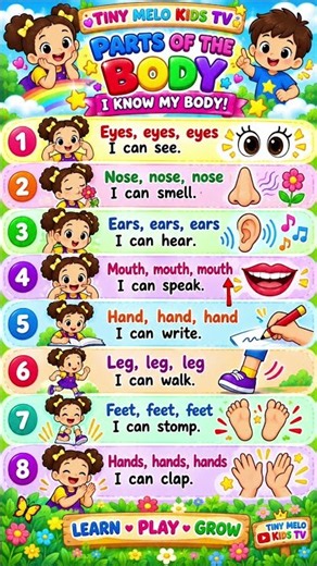 Parts of the Body 🧒👀👃 | I Know My Body! | Learn Body Parts for Kids | Tiny Melo Kids TV
