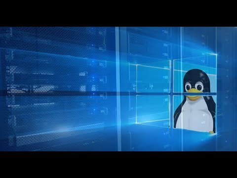 Linux installation || Windows Server.