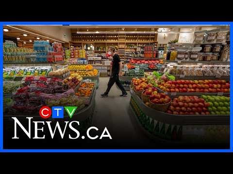 Are publicly run grocery stores the solution to food insecurity and rising prices?