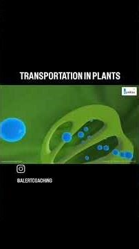 Transportation in Plants 🌱 | Xylem & Phloem | Class 10 Biology #Shorts