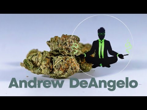 Ep, # 213 Andrew DeAngelo