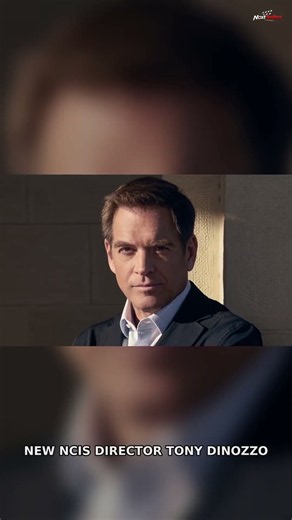 Ellie Bishop Is Back! DiNozzo Sends Her on a Secret Mission #Shorts
