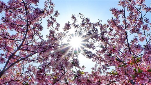 3-Tage-Wetter: Sonniger April-Abschied und sommerlicher Feiertag