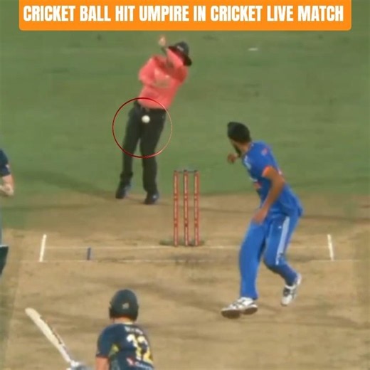 CRICKET BALL HIT UMPIRE IN CRICKET LIVE MATCH
