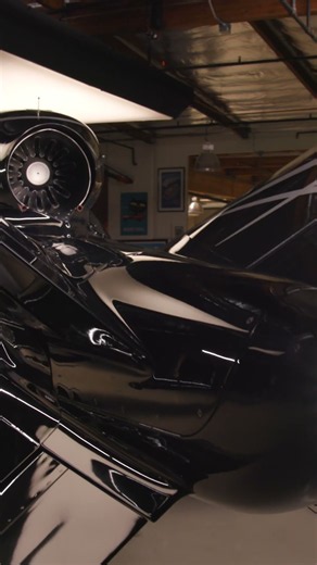 The Cirrus Vision Jet's Most Unique Feature