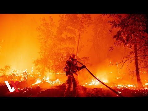 Looking Back At California’s Deadliest Wildfires Of January 2025 | VERTEX