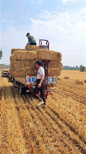 Full-cycle bale loading machine (12V/24V)# Bale loading machine# Bale loading marvel (12V/