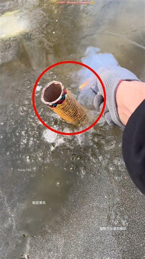 What Happens If You Explode a Firecracker Inside Ice? 😱 | Shocking Experiment #shorts #facts