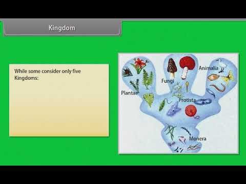 The Living World – Part II | Taxonomy & Nomenclature | Class 11 Biology | NCERT