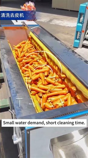 Industrial-Grade Carrot Washing Solution | On-Site Footage of Brush Washing Machine