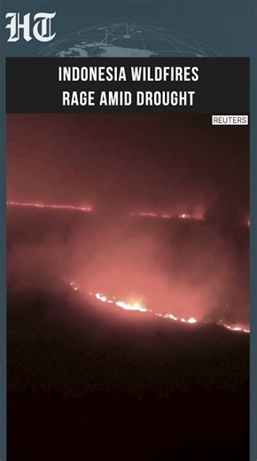 Indonesia Wildfires: Thick Haze Chokes Pangkalan Bun After Months Of Smoke #shorts
