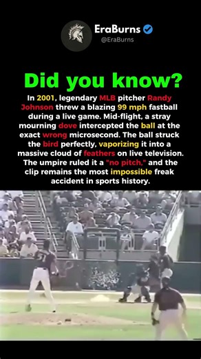 The 1 in a Billion Fastball