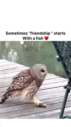 God plan is always better than ur plan 🥹❤️‍🩹