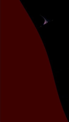 Animated Fractal | #111