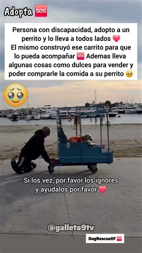 Persona discapacitada adopto un perrito callejero.. 🍼❤️