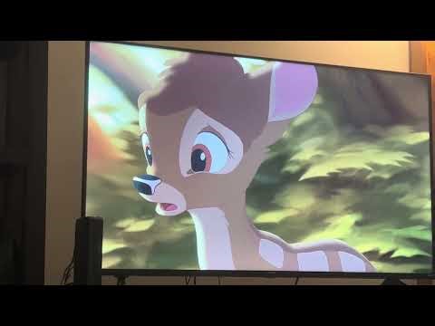 Bambi 2 Final Battle Fight Battle Scenes 4/29/26 