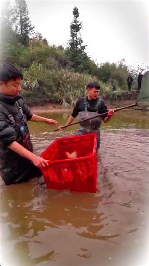 Crazy Fish Catch in Muddy Water 😱🐟 | Big Surprise Inside the Box!🐠🐠🐟🐟🐠🐟🐠🐟