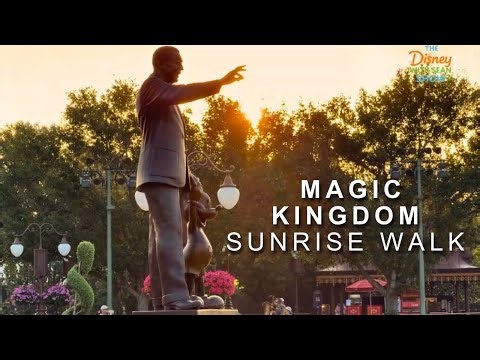 🔴 LIVE: Morning — Disney World Walk & Shows + rides | Day 245