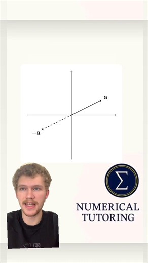 Vector Multiplication by -1 Explained (Why the Direction Reverses)
