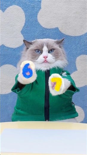 Rainbow 67 challenge!🌈Can Puff survive this round?#challenge #cat #hacker #thatlittlepuff