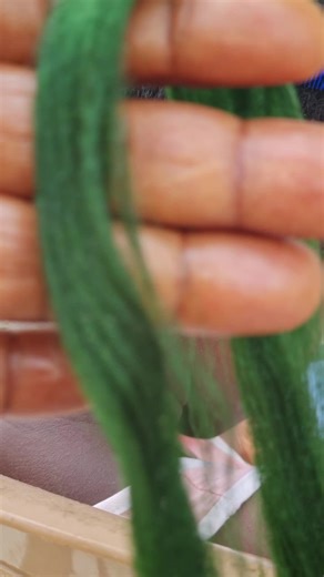 braid tutorial #diyhairstyle #viralvideo #foryoupage