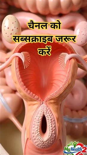 Menstruation Cycle Animation | Female Reproductive System Explained in 3D