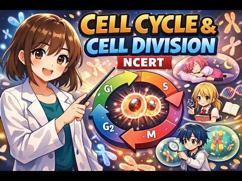 CELL CYCLE AND DIVISION [ANIME ]