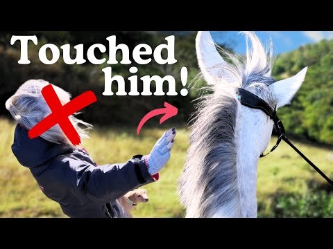 Stranger Touched My Horse! This Esme - GoPro POV Riding - Get ready with Me