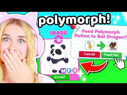 Trading What My BAT DRAGON POLYMORPHS  Into In Adopt Me!