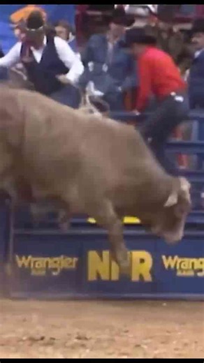 One bull, one ride, one world title