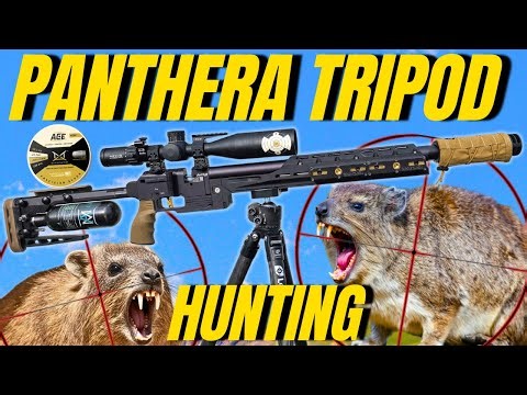 FX Panthera Hunting: Ultimate Accuracy with a Tripod Setup