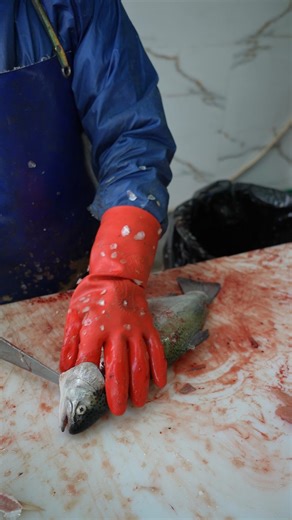 How to Fillet a Trout with a Crooked Spine Like a Pro