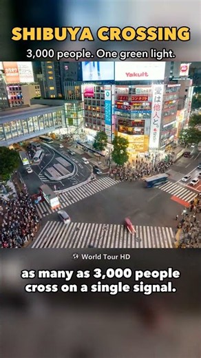 Shibuya Crossing: 3,000 People, One Green Light 🚦 #Shorts