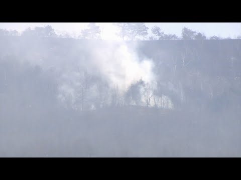 69 News afternoon NETCAST for 4-14-26