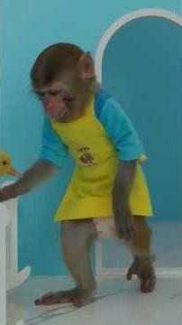 #fun #funny #funnyvideo #monkey #monkeybaby #kidsvideo #kidsplaying #nurseryrhymes