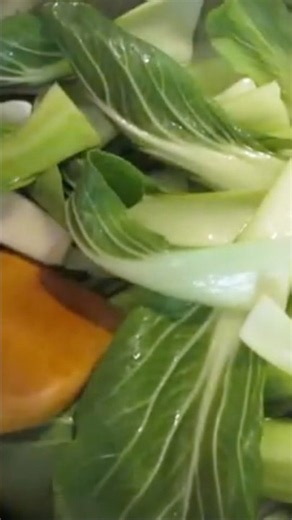 Sautéed BOK CHOY 🥬 Healthy Eating ❤️‍🩹 #food #cooking #vegetables #health #recipe #tutorial