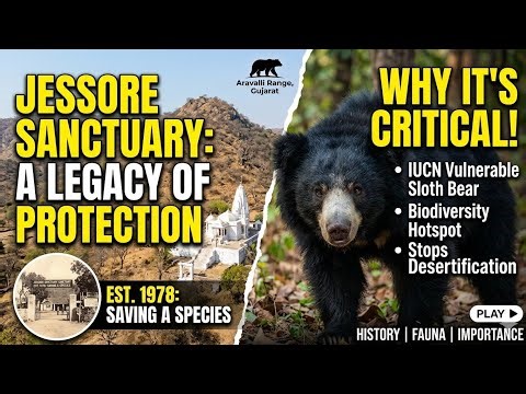 Jessore Sloth Bear Sanctuary: History, Wildlife & Ecological Importance