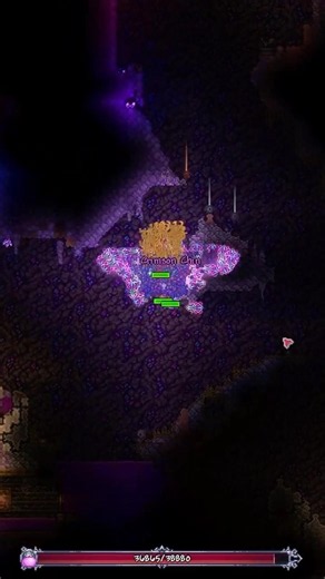 Terraria without Immunity Frames is PURE CHAOS...