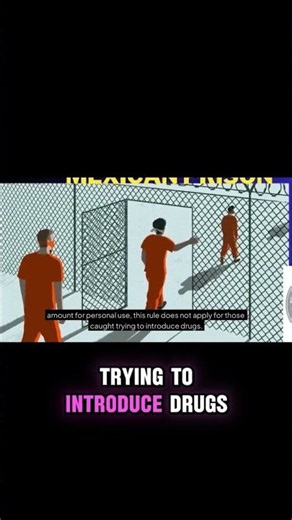 Bringing Drugs Into Mexico: Federal Charges, Penalties and Your Defense #Shorts