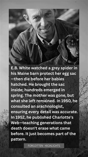 E.B. White & the Spider: How a Death in a Maine Barn Became Charlotte's Web—And Changed Everything