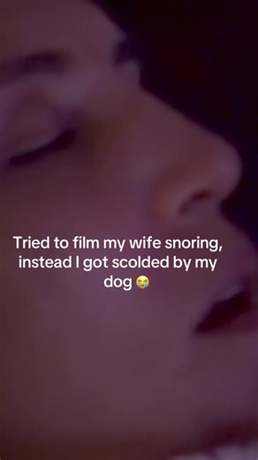 Hilarious Dog Reactions to Delivery Boy's Antics