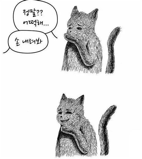 중국 국기 당장 달아! 항의 호텔 직원 꾸짖다가 '망신'? / KNN
