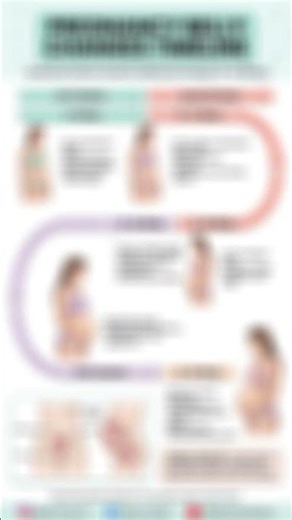 Pregnancy Belly Changes Timeline (0–40 Weeks) | Trimester-Wise Uterine Growth Explained