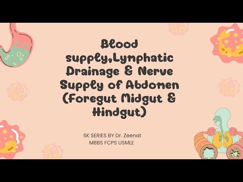 Hindgut Blood Supply & Nerve Supply,Lymphatic Drainage of Abdomen | MBBS FCPS USMLE | SK SERIES